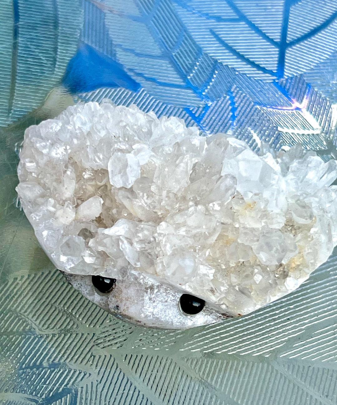 Clear Quartz Cluster Crystal Buddy