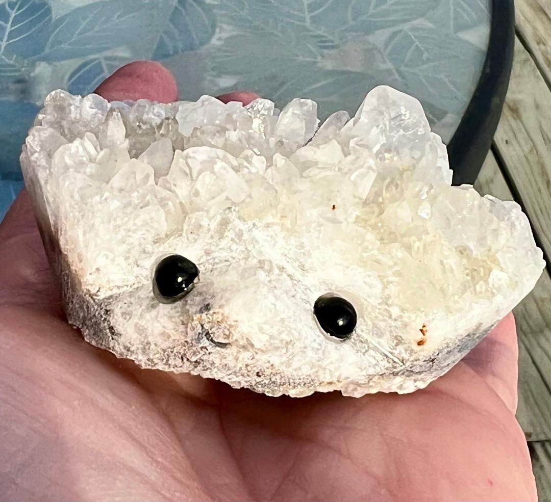 Clear Quartz Cluster Crystal Buddy